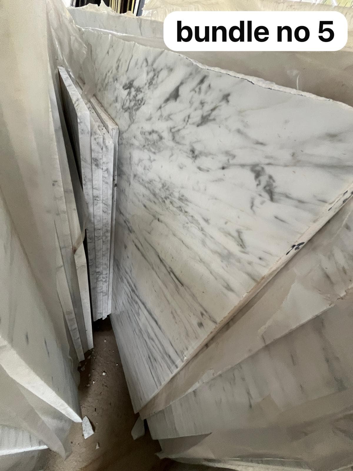 Carrara 6